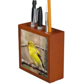 Goldfinch Pencil/Pen Holder