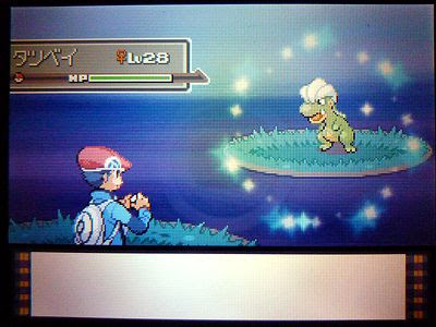 色タツベイ Pt 色ポケめも