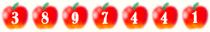 Website Visitor Counters