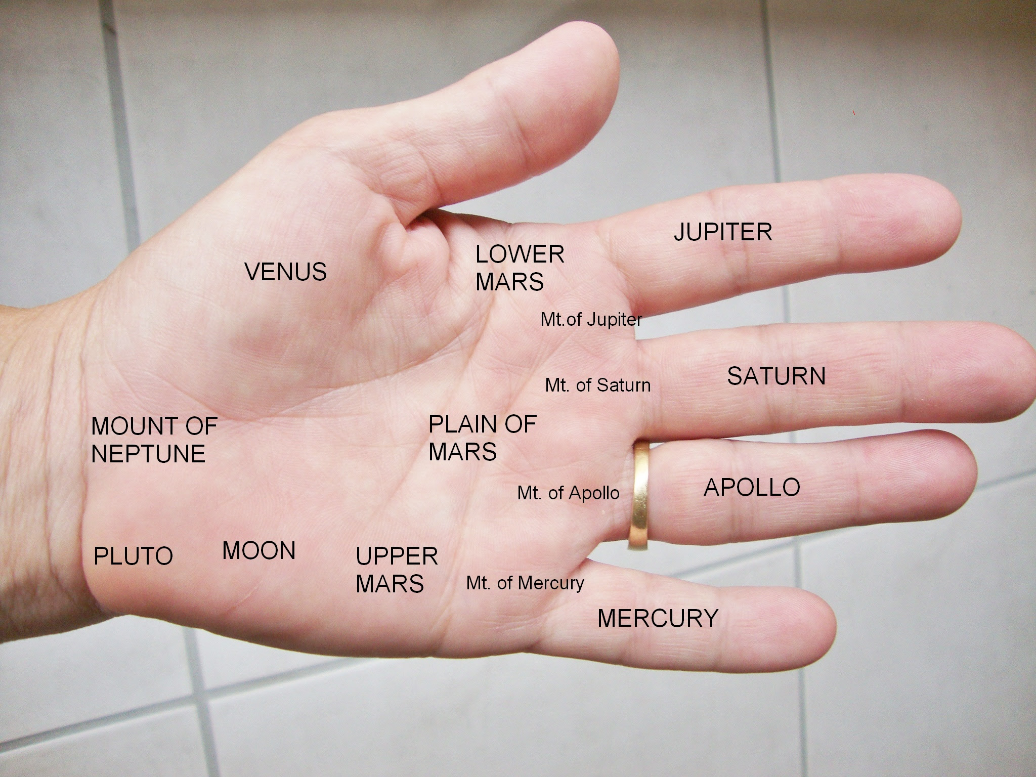 Palmistry Palm Reading | Spirituality Palm Reading | Online ...