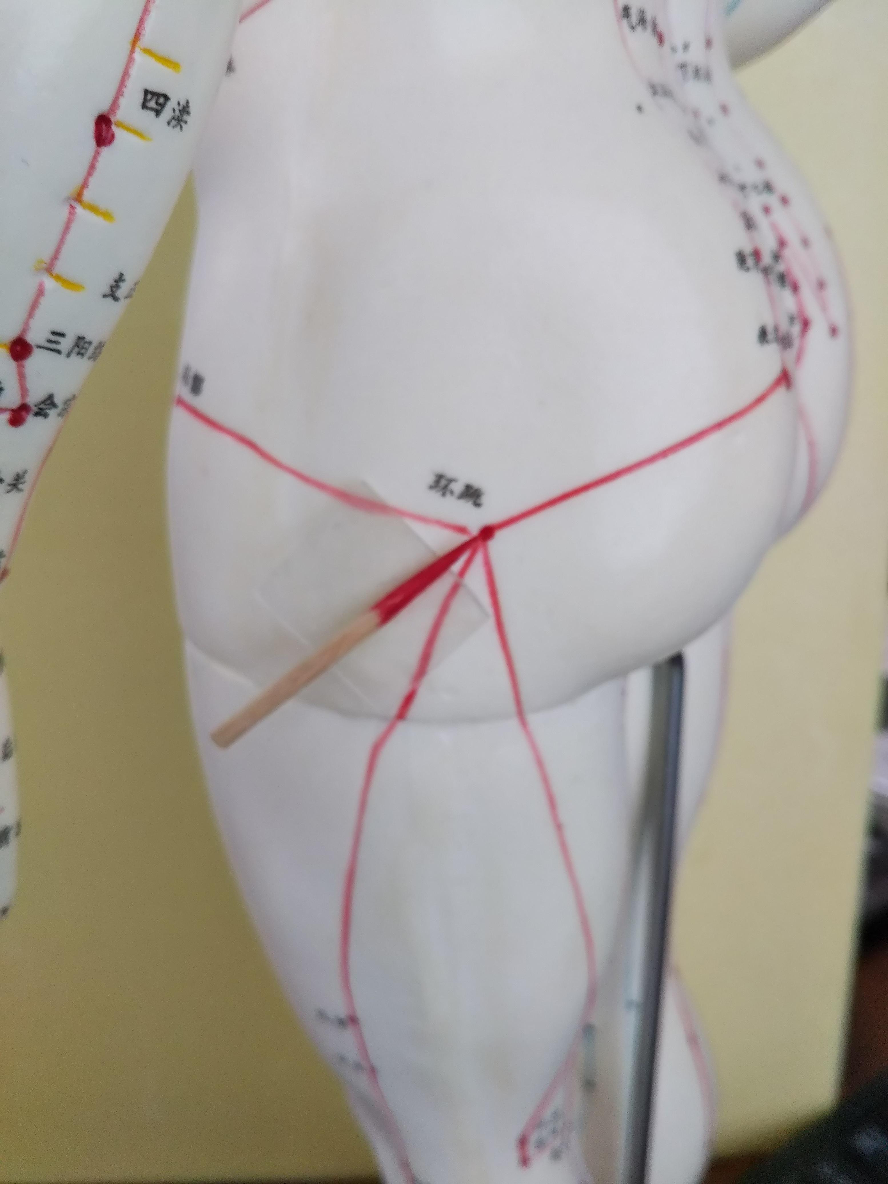 どこねっと 大阪府