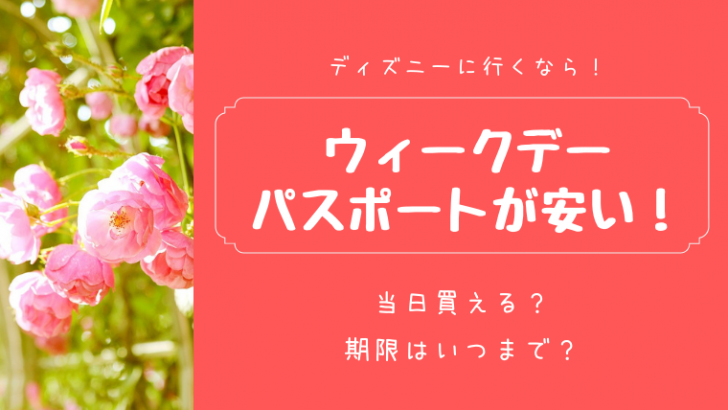 首都圏ウィークデーパスポートは当日買える 期間はいつまで 東京ディズニーランド シー旅行の攻略ブログ Tdrおとく旅