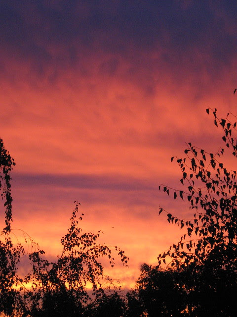 Unusual Sunrise