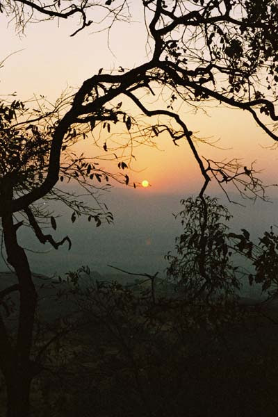 Sunrise