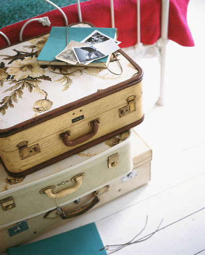 bags, bavullar, beautiful, browns, case, design