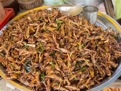 How To Cook Fried Grasshoppers