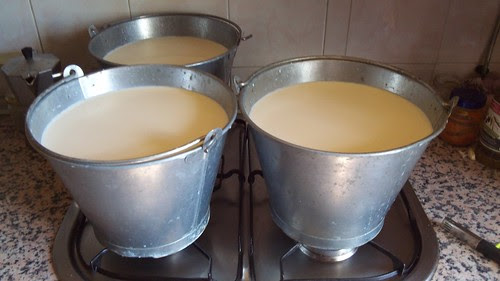 heating the milk