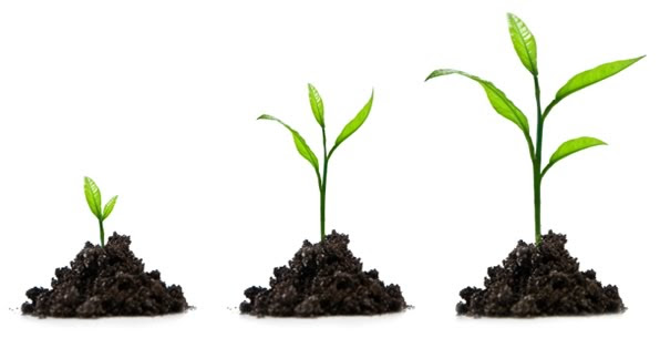 grow your blog
