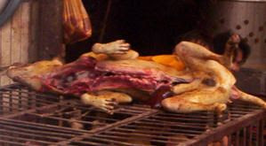 Massacre de chien en chine video