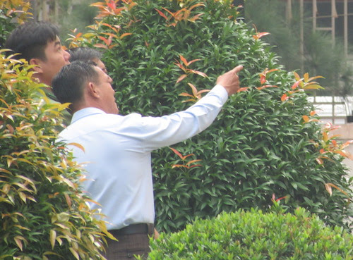 Vụ ông Tây cố thủ cùng vợ con: “Chuyện gia đình thôi” - 2