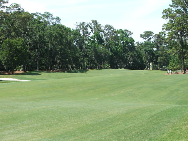 2nd fairway looking back from green