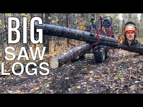Cutting Big Saw Logs for the Timber Frame Sugar Shack Build -E88
