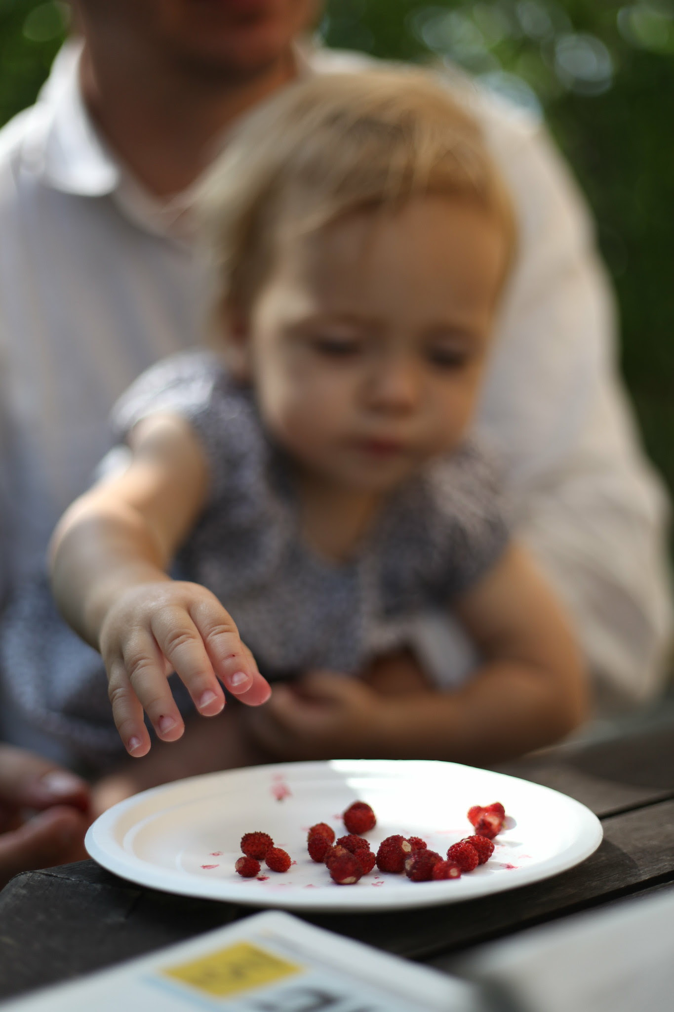 Neve reaching for wild strawberries
