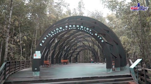 Taman Negara Pulau Kukup - Yok Rempitan ...: Taman Negara Pulau Kukup dan Tanjung ... / Pulau kukup (johor) national park was established in 1997 to protect one of the largest mangrove islands in the world.