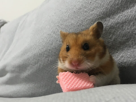 イメージ