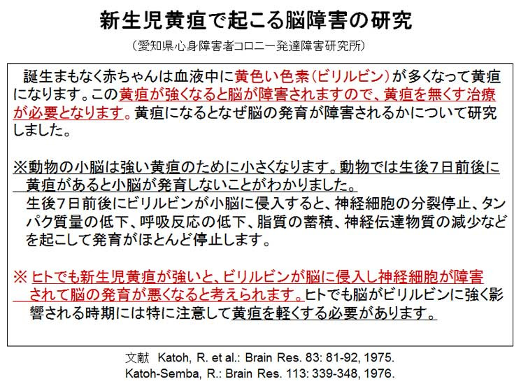 重症黄疸と発達障害 久保田産婦人科