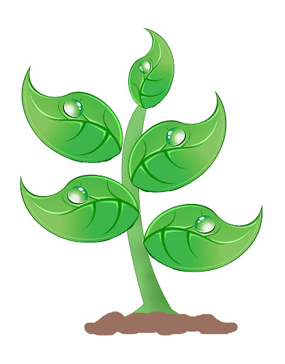 plant clipart