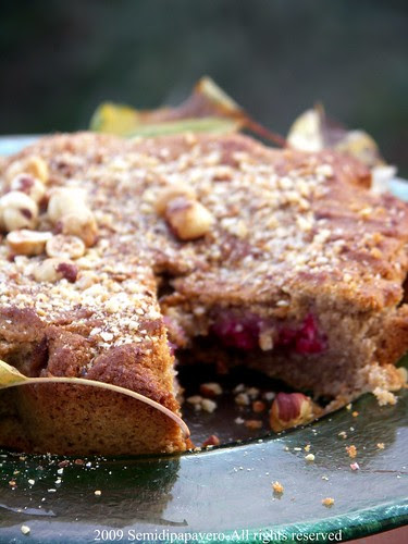 torta  di nocciole 2