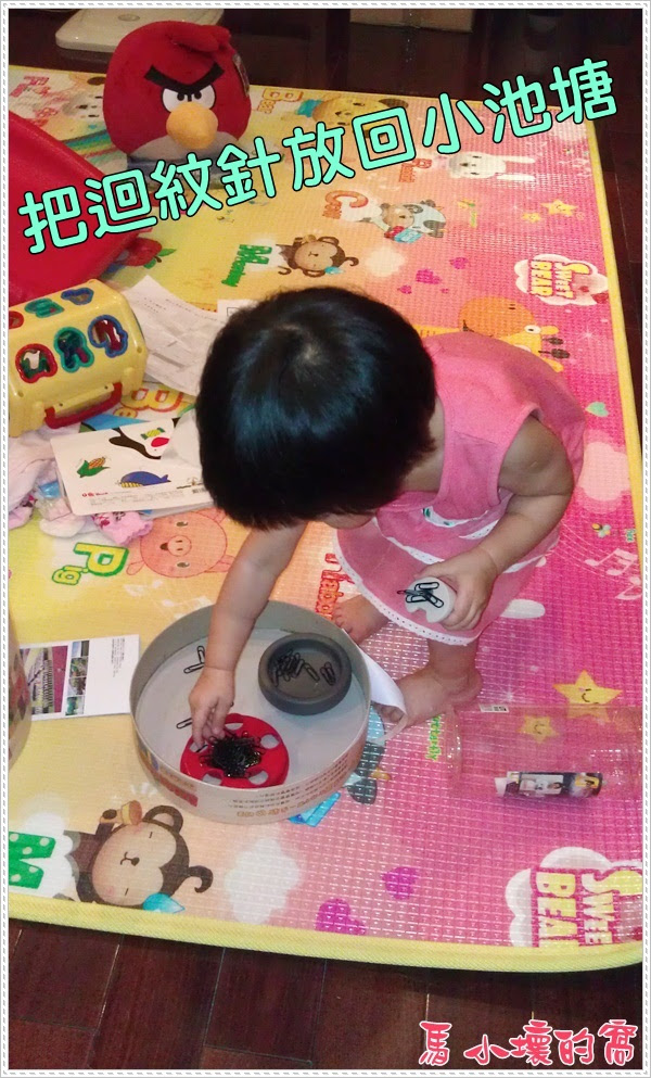 IMAG0395.jpg