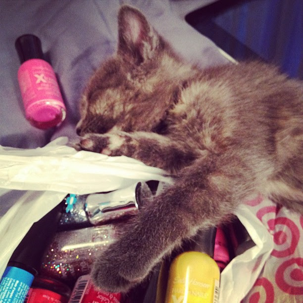 counting the nail polish made Molly sleepy