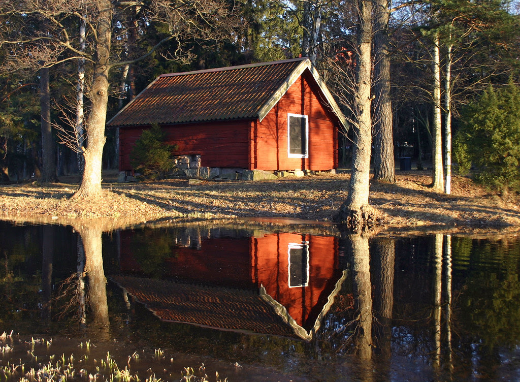 Lake Reflection