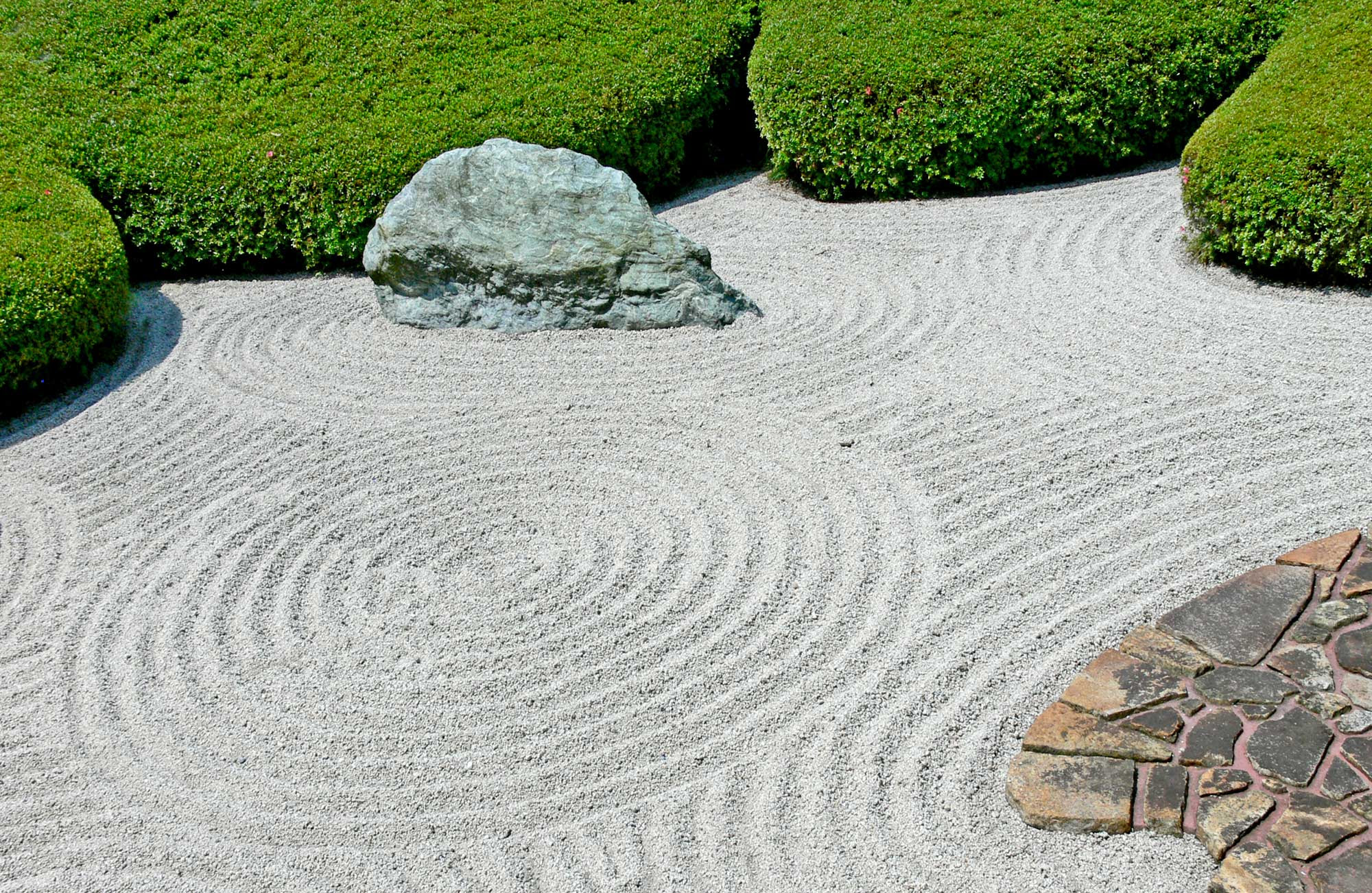 Small Backyard Designs No Grass