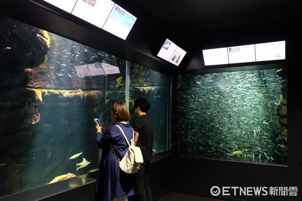 ▲加茂水族館。（圖／記者于佳云攝）