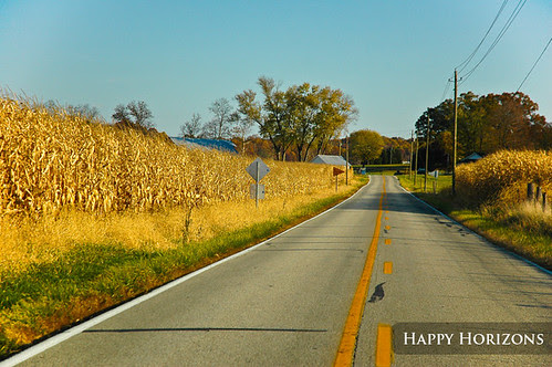 Corn Fields