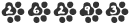 Web Page Counters