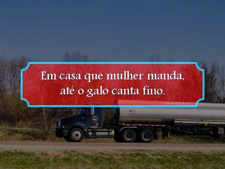 as melhores frases de caminhão