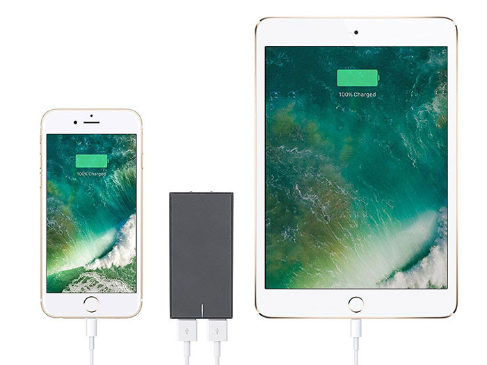 Native Union SMART Charger