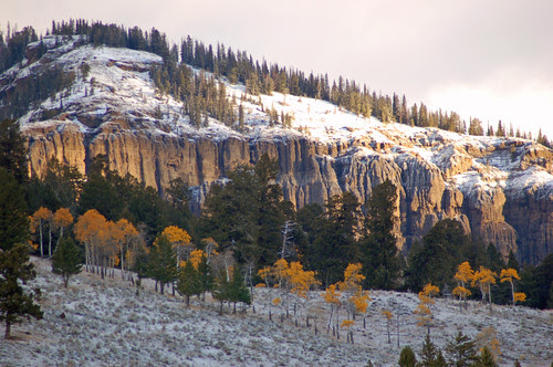 Yellowstone