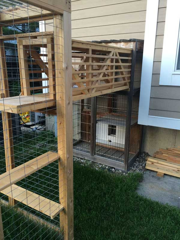 urban home plans