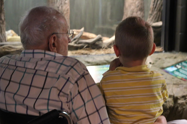Visiting the Central Florida Zoo