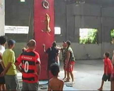 strongest pitbull in world. Pit bull Competition
