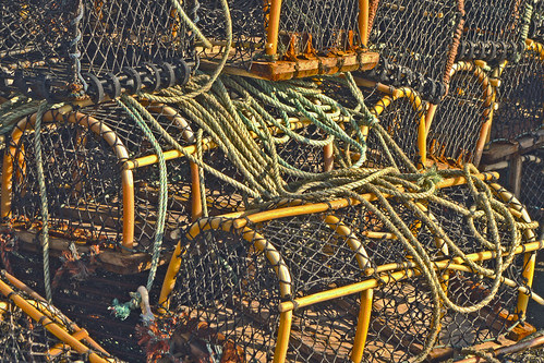 IMGP7691_HDR