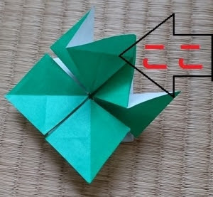 多趣味の備忘録 バラの葉っぱ 折り方