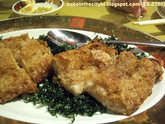 PLCC yam duck