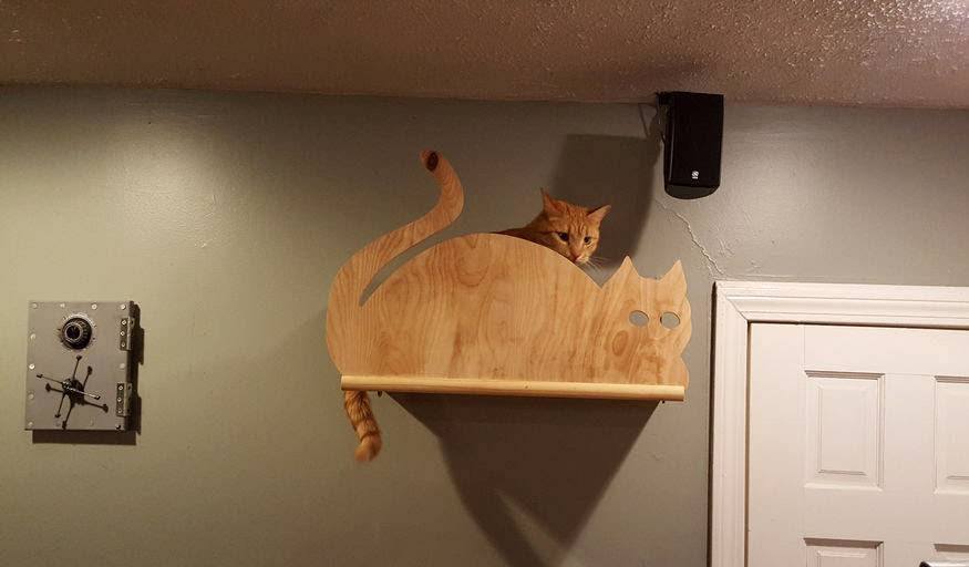 Construire Un Mur Pour Chat Etagere Et Perchoir Pour Chat Le Tutoriel