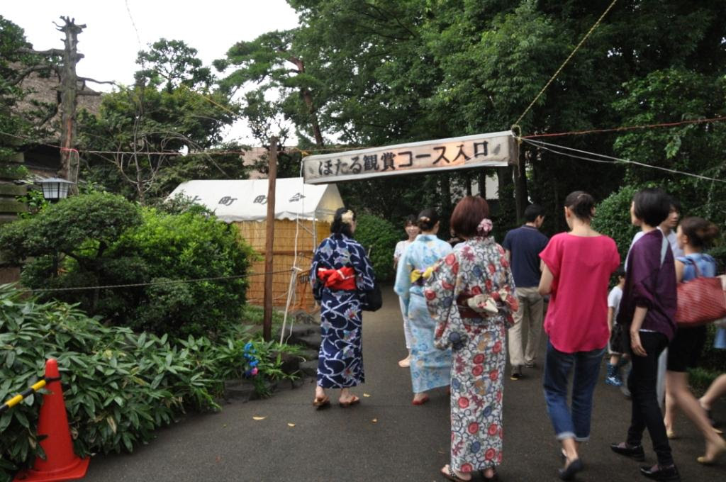 関東のホタル名所２０１７ ここに行けば絶対見られます