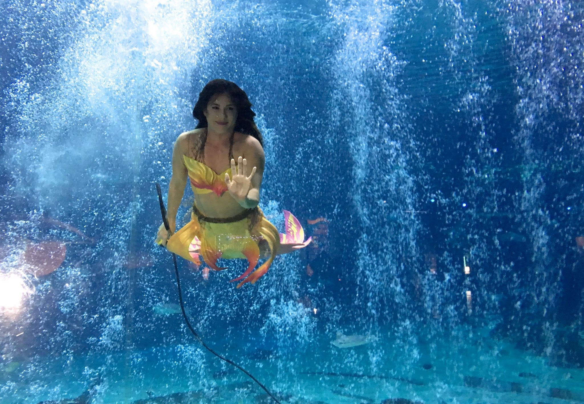 An interview with a mermaid at Camden's Adventure Aquarium ...