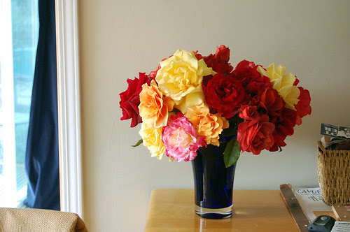 garden roses