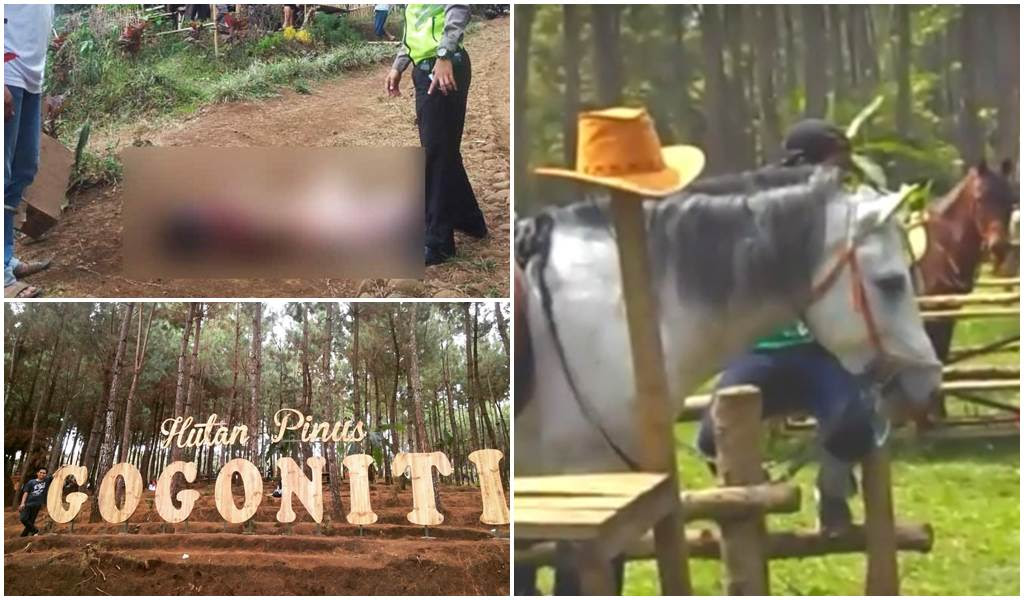 Gara Gara Kuda Acara Wisata Di Blitar Berakhir Duka