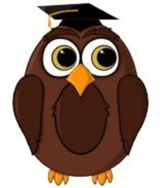 Gambar Wallpaper Owl ClipArt Best Gambar Wallpaper Owl ClipArt Best