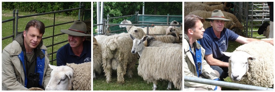 Chris Packham meets some sheep