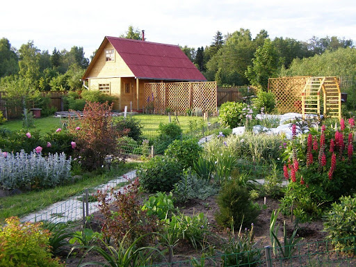 Зображення