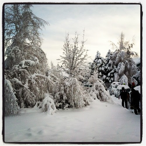 Snow by powerdubbe