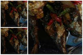 Resep Masakan Pindang Ikan Kembung Kecap Manis Praktis