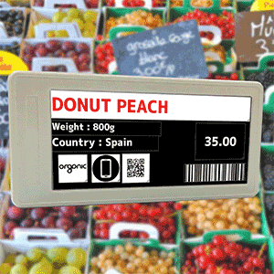 Electronic Shelf Label | In-store Price Management Solution