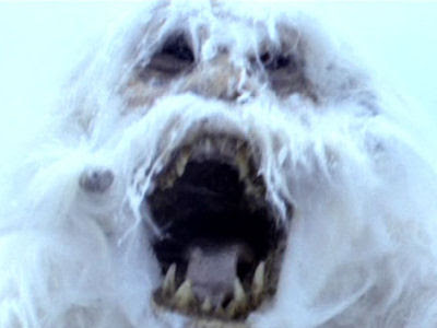 Yeti